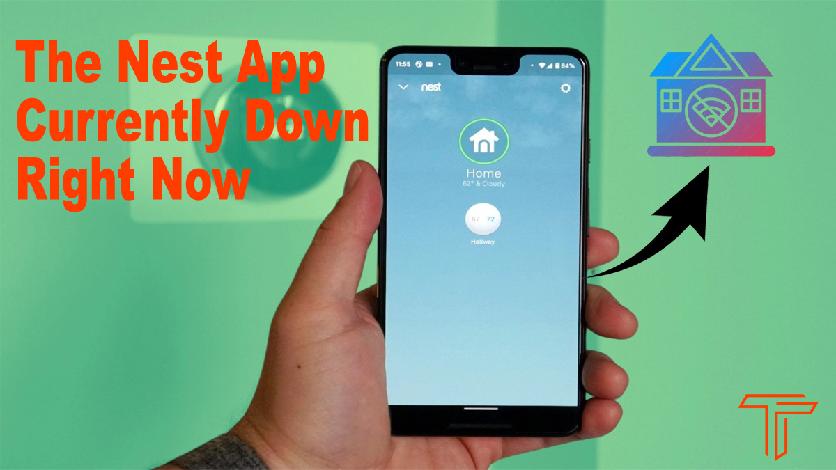 The Nest App Currently Down Right Now